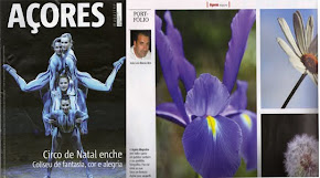 Revista Açores Dezembro 2010