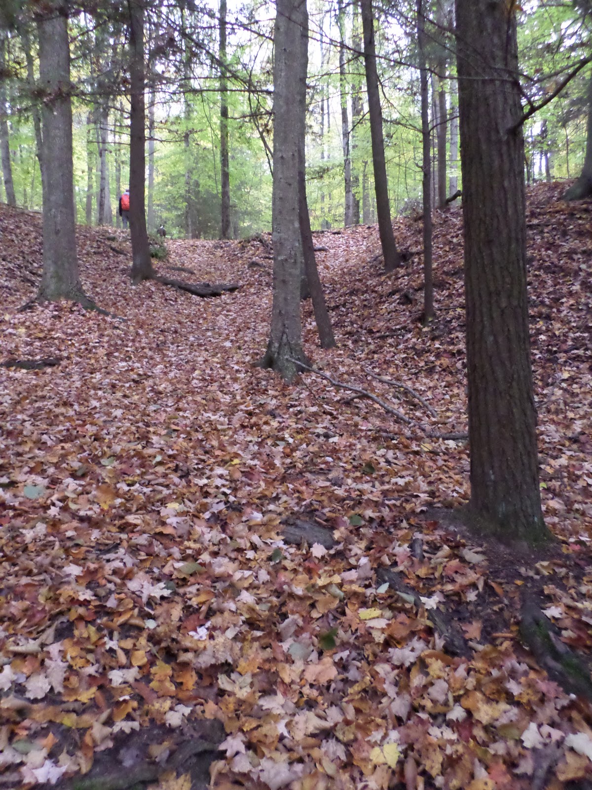 Mitten Tracks Murphy Lake State Game Area, part two Murphy Lake Rd