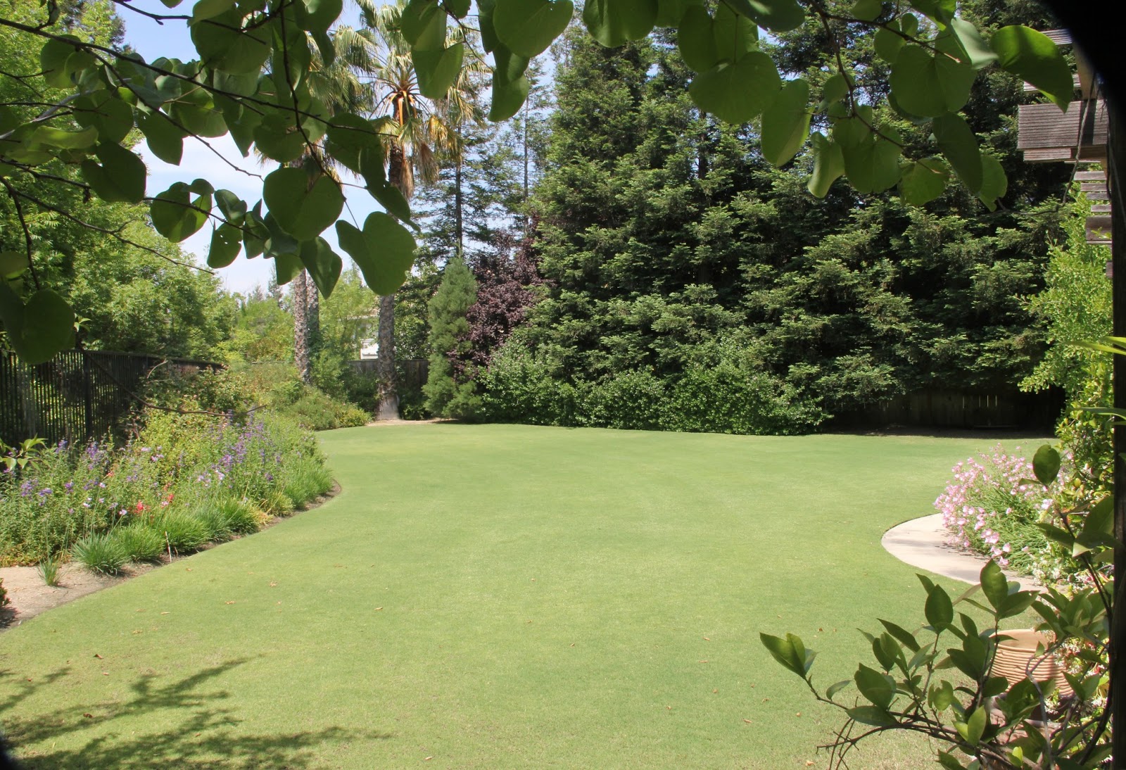 bermuda grass lawn turf landscape tips weed doctor