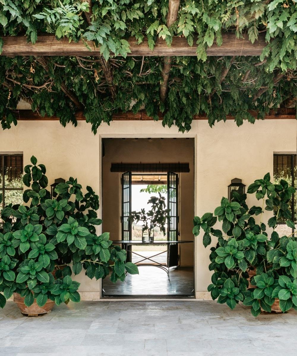 ����� ������� ff60f1a1174831462beb