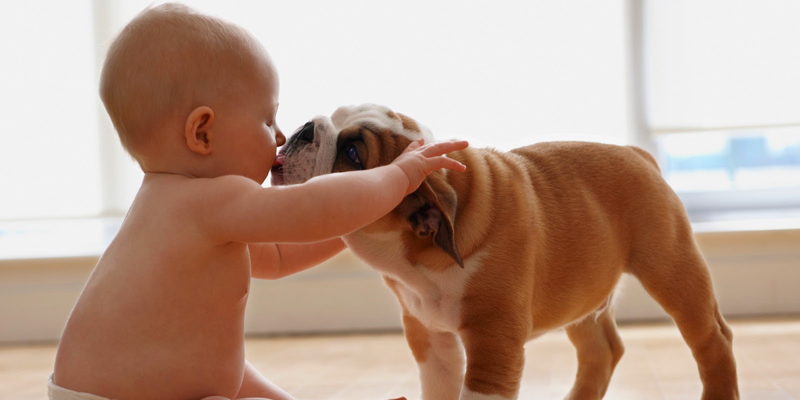 Baby pet. Собака облизывает. Собака облизывает ребенка. Собака лижет. Собачий поцелуй.