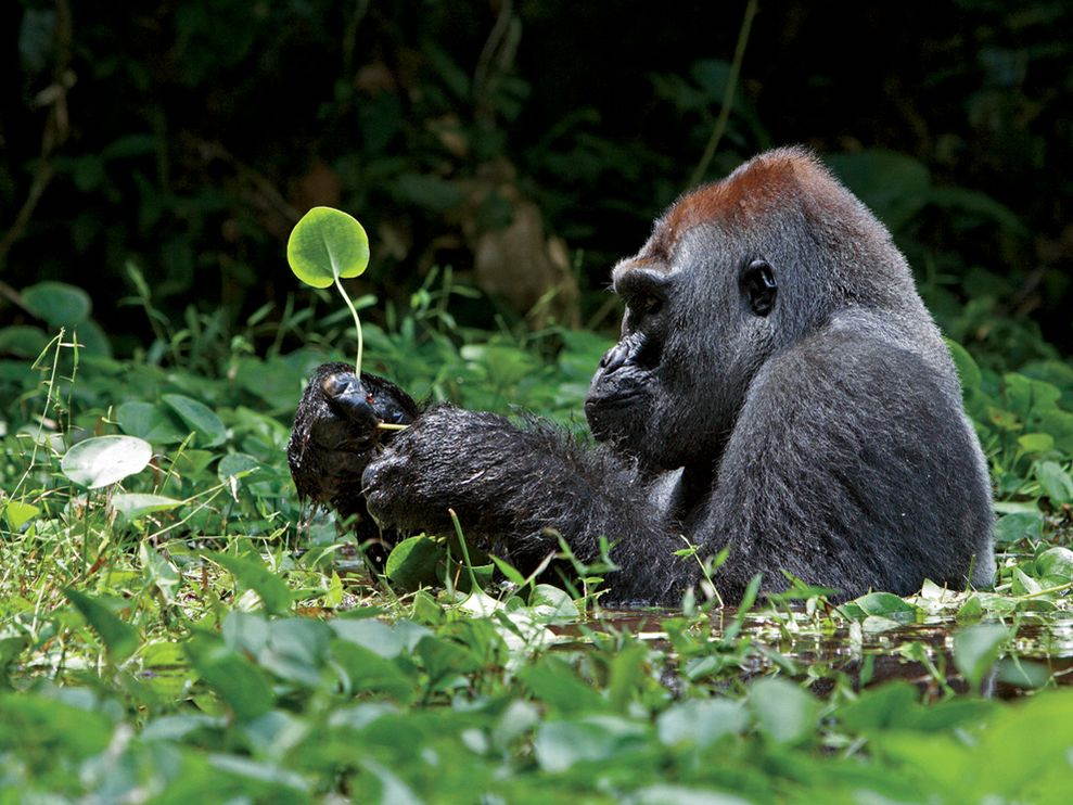 Fascinating Articles and Cool Stuff: The Most Beautiful ...