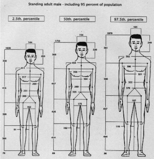 PRODUCT DESIGN: Ergonomics