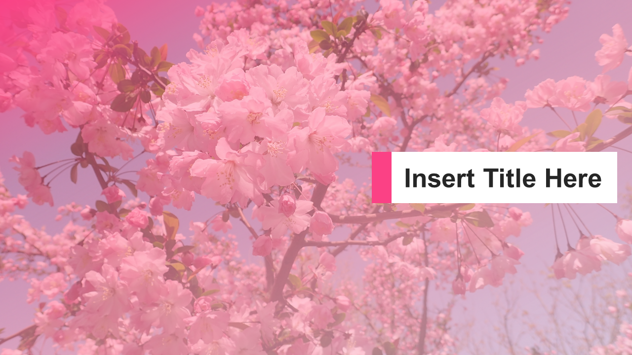 cherry-blossom-background-for-powerpoint-flower-ppt-templates