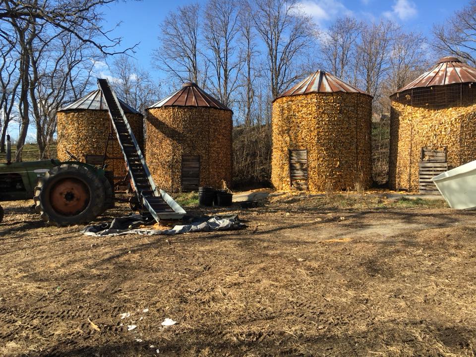 Industrial History More Corn Cribs