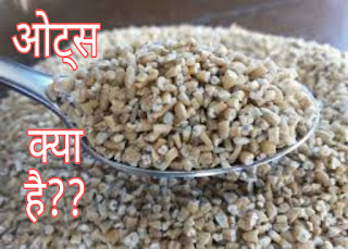 Oats in Hindi meaning || जाने ओट्स के चोकानेवाले फायदे और नुकसान के