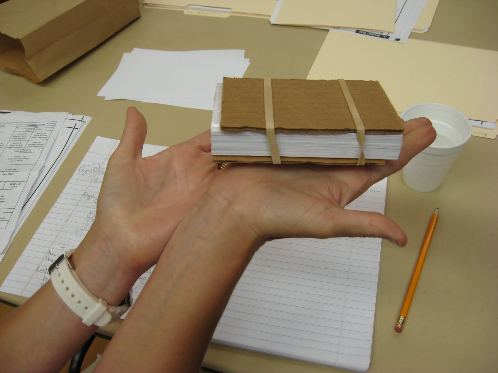 Plant Presses for the Classroom