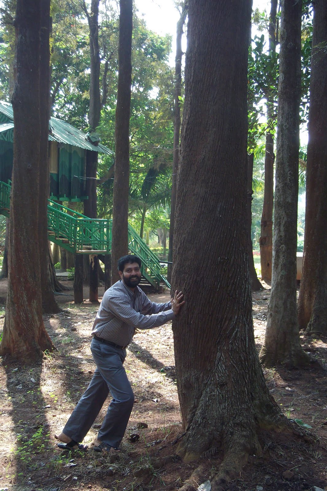 AnnavaramDraksharamamSimhachalamVizagAraku Indian Currency Trees