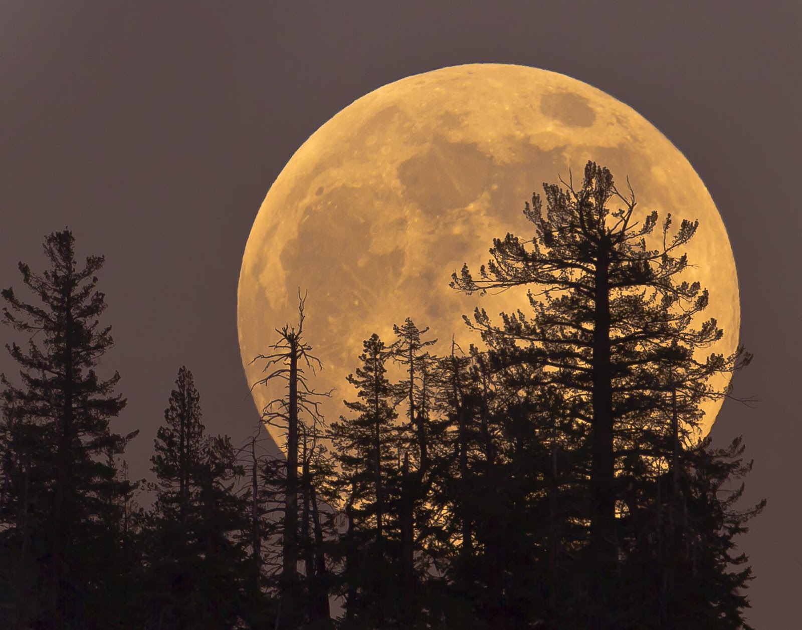 Mountain Mann Survival Full Hunter's Moon visible this weekend