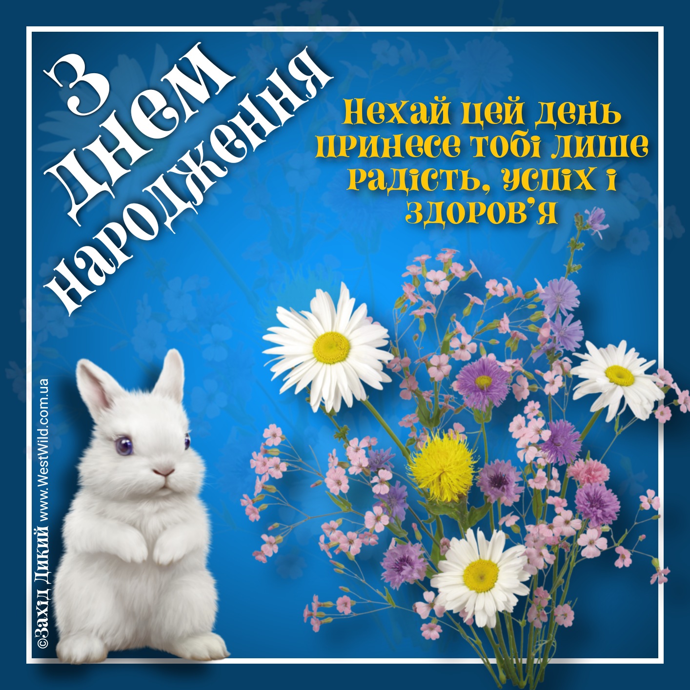 Привітання З ДНЕМ НАРОДЖЕННЯ: картинки, привітання, побажання (постійне оновлення) - West Wild | Захід Дикий Привітання З Днем Народження: Картинки, Привітання, Побажання (Постійне Оновлення) - West Wild | Захід Дикий