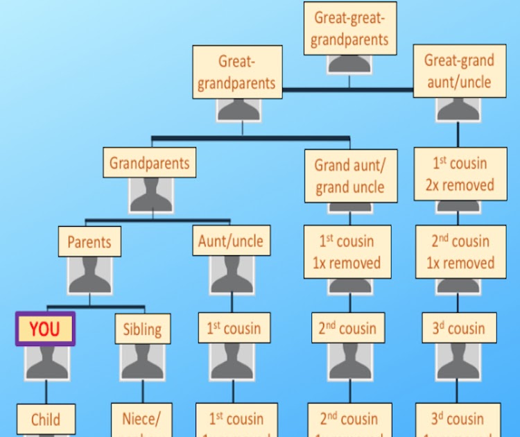 Climbing My Family Tree: Siblings and In-Laws Are Great Cousin Bait on