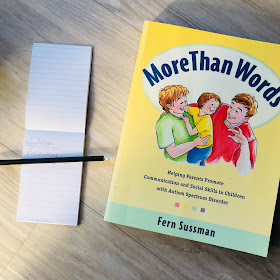 Autism parenting book - More Than Words