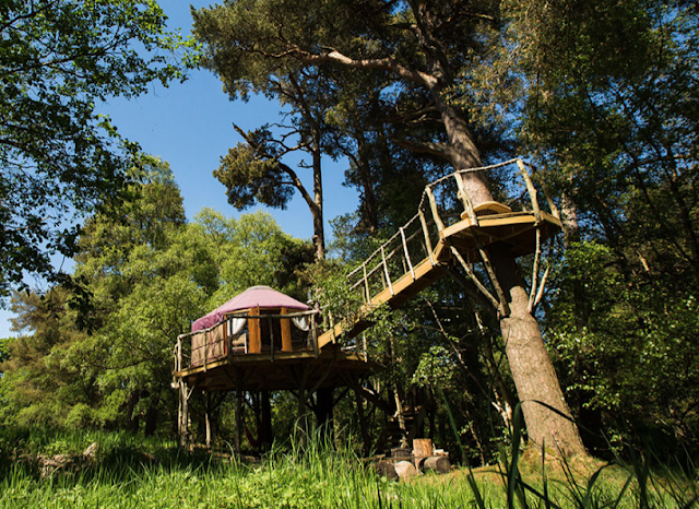 Where can I stay in a Treehouse in North East England?