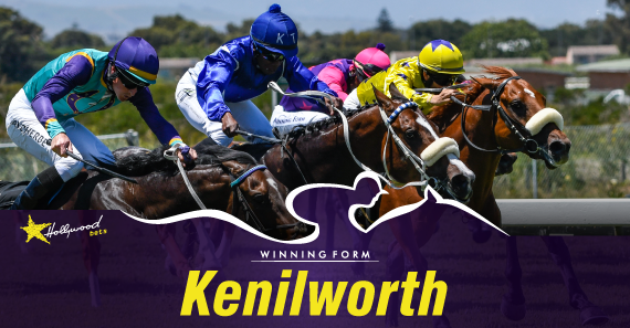 Hollywood horse racing and sports betting picks Hollywood horse racing and sports betting picks