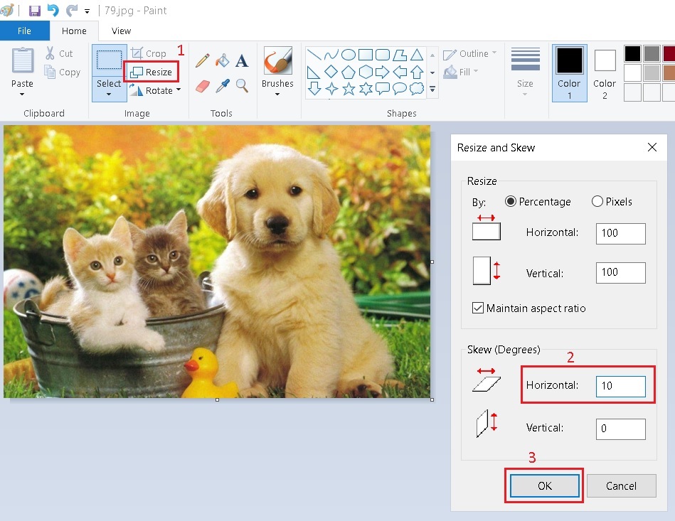 Bài 5 Skew kéo nghiêng hình ảnh trong Microsoft Paint