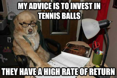 kingston trader finance%2Bdog kingston trader