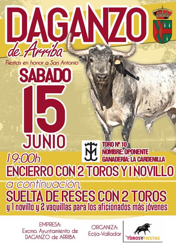 DAGANZO DE ARRIBA FIESTAS SAN ANTONIO DE PADUA 2019 (MADRID) FECARTOROS DAGANZO DE ARRIBA FIESTAS SAN ANTONIO DE PADUA 2019 (MADRID) FECARTOROS