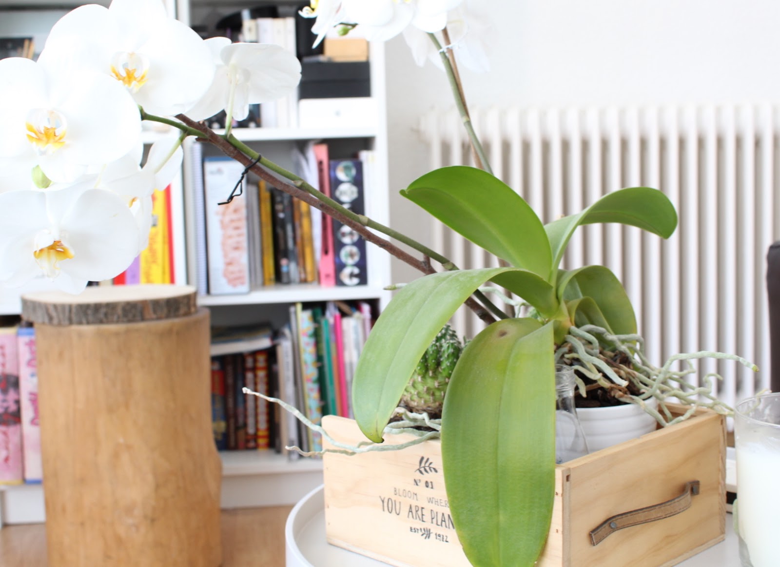 Cajas de madera capítulo 253.... - HANDBOX