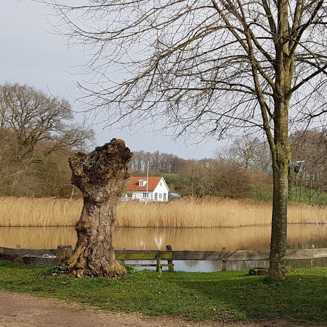 6 spannende Highlights im Süden von Als. Der Mühlenteich ist ebenfalls sehenswert, auch außerhalb der Saison.