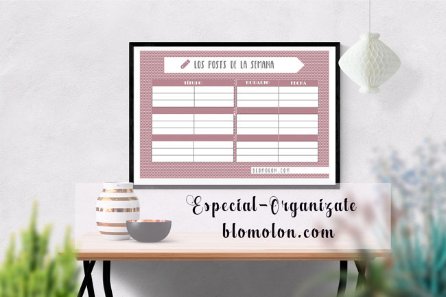 especial-organizate especial-organizate
