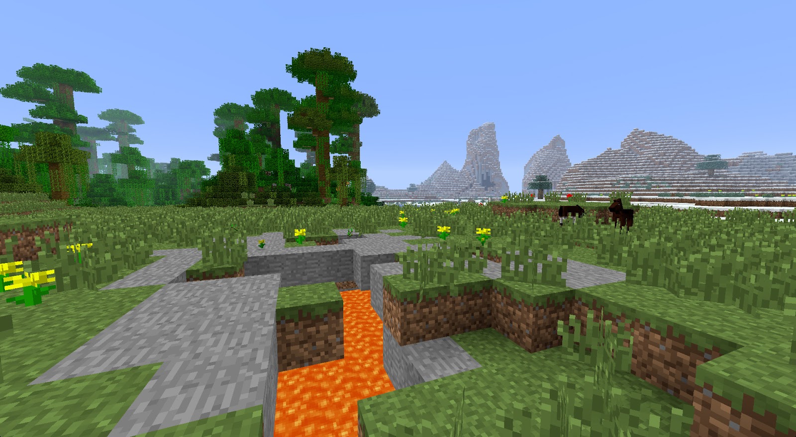 Seeds Minecraft