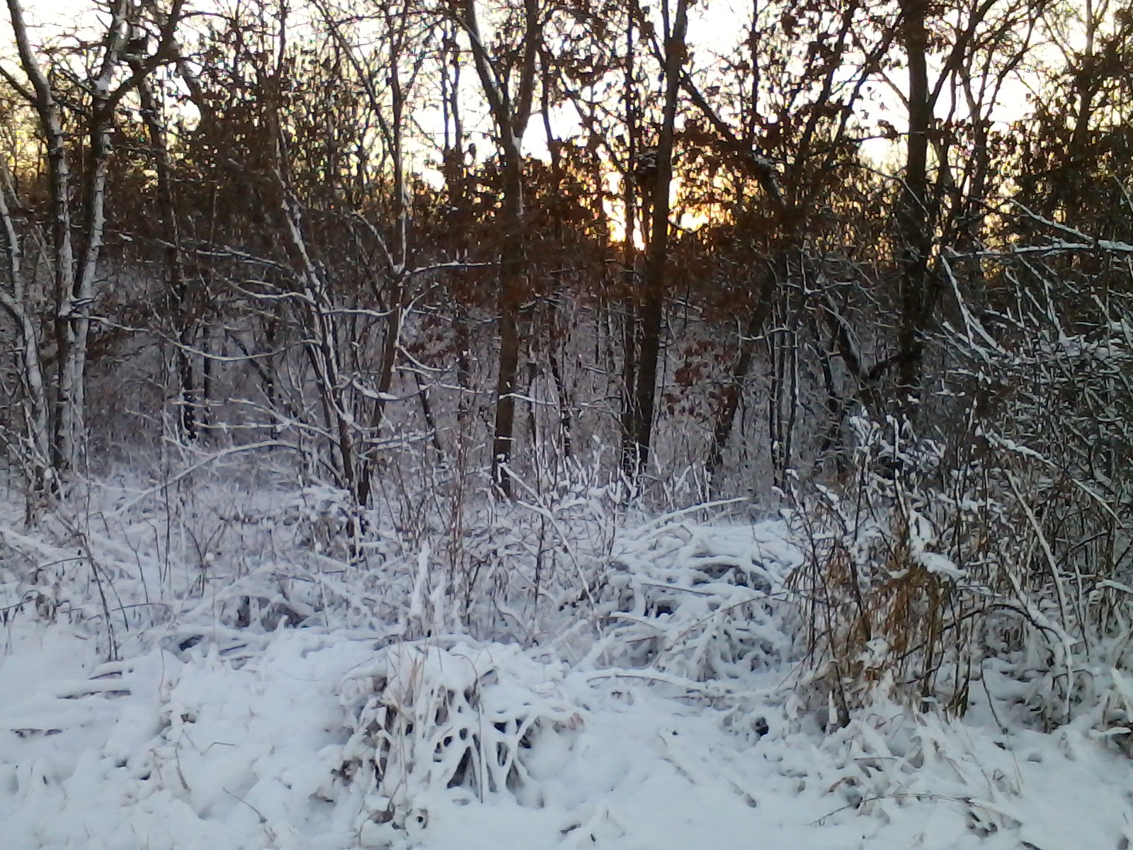 TravelBabble Bunker Hills Regional Park