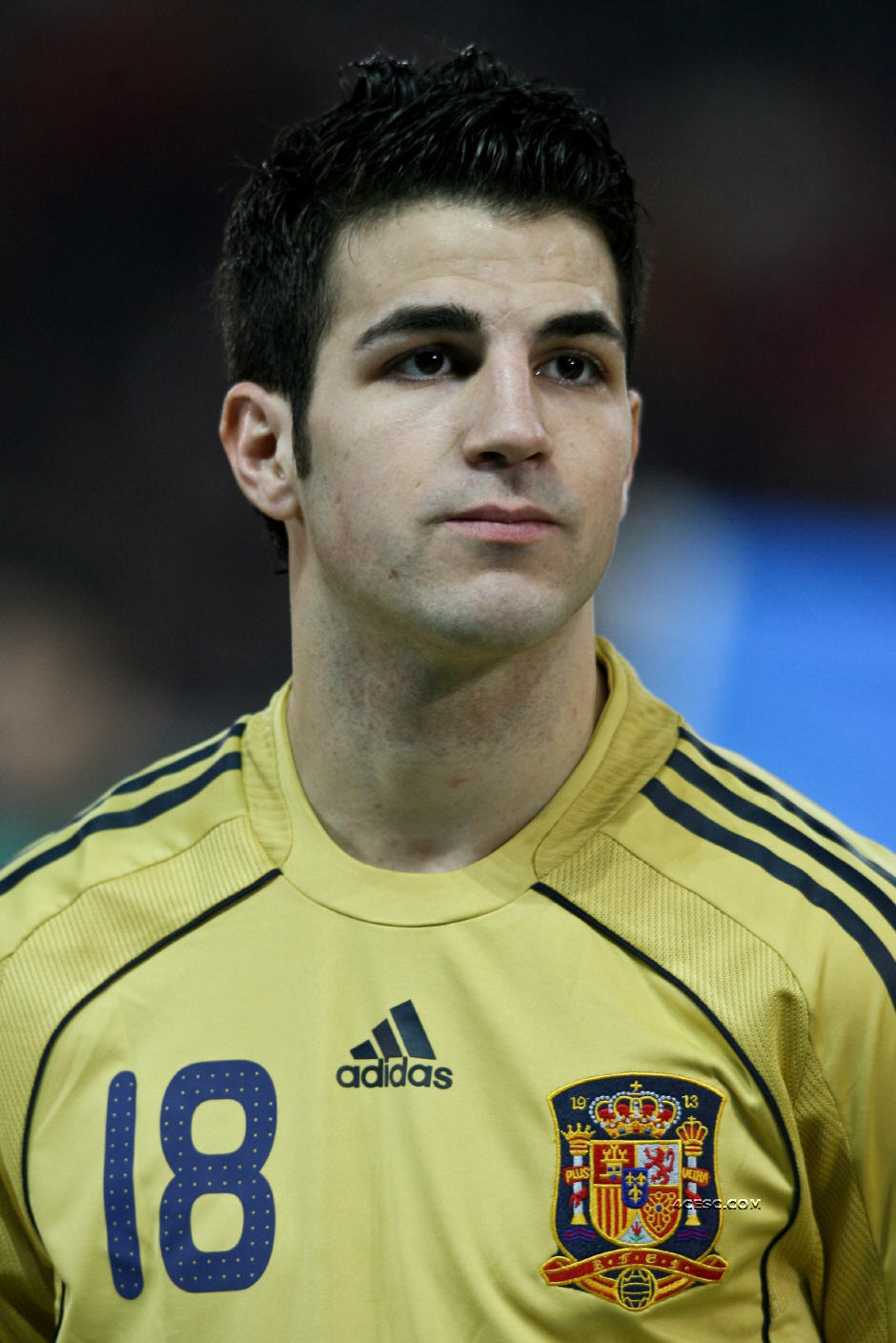 Cesc Fabregas | Green Wallpaper