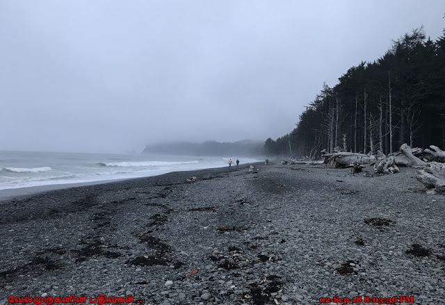 Rialto Beach La Push Washington