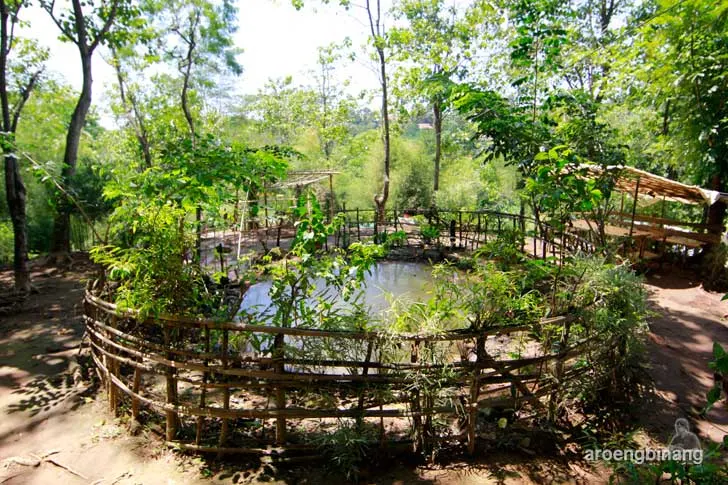 air panas kawah merah gunung pancar bogor