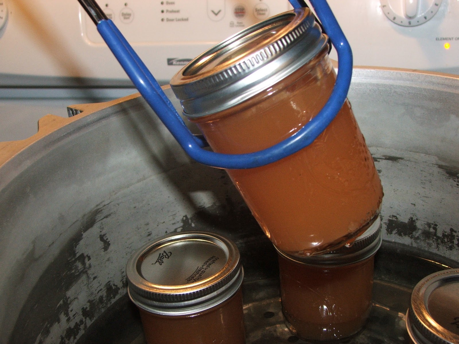 Canning Granny Making and Canning Pectin from Apples