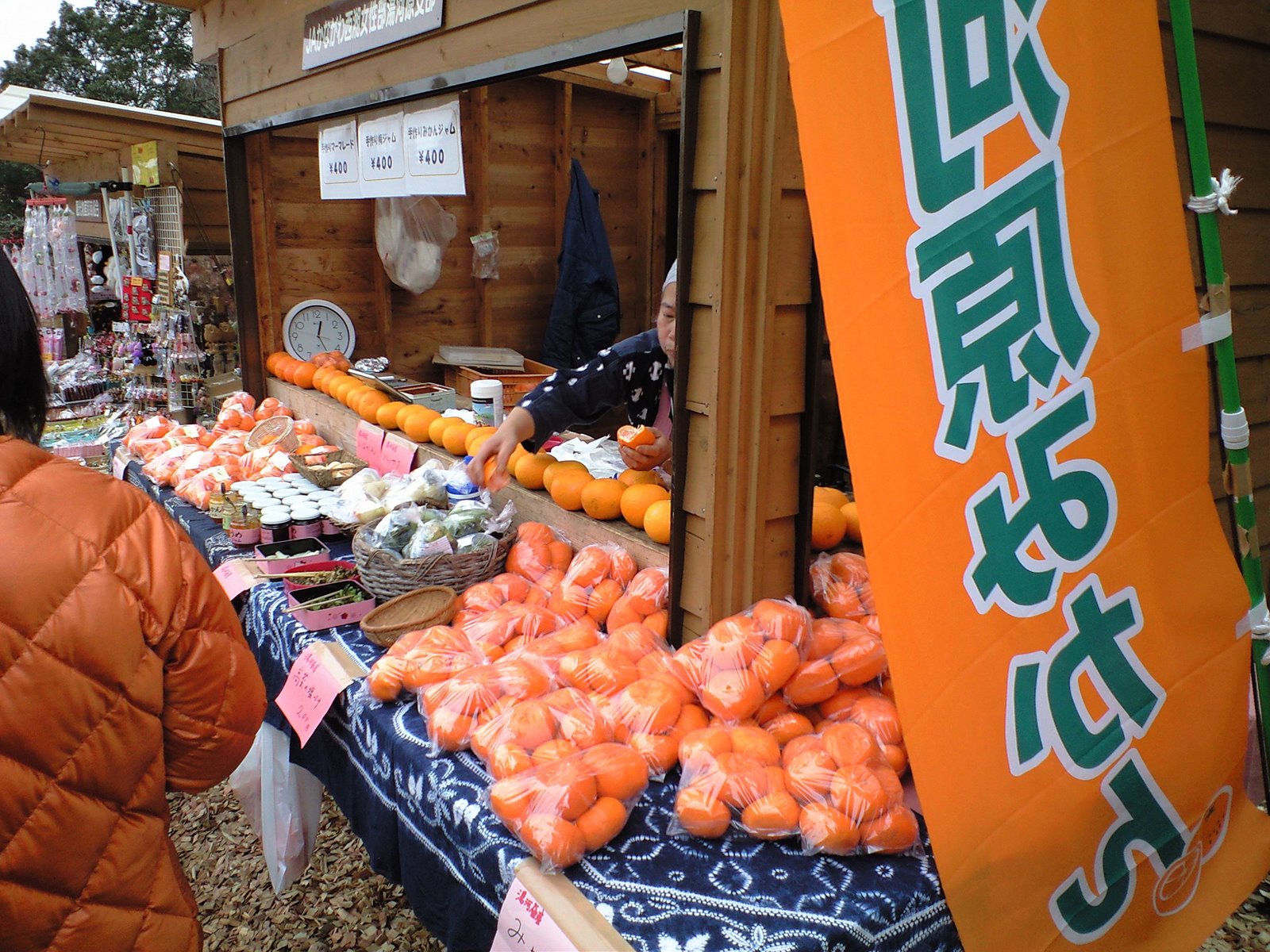 俗世夜話 フォト コラム 湯河原のみかん
