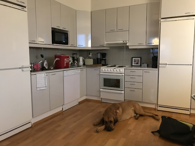 Mielenkiintoisten yksityiskohtien kattohuoneisto Jyväskylässä 8 Mielenkiintoisten yksityiskohtien kattohuoneisto Jyväskylässä 7