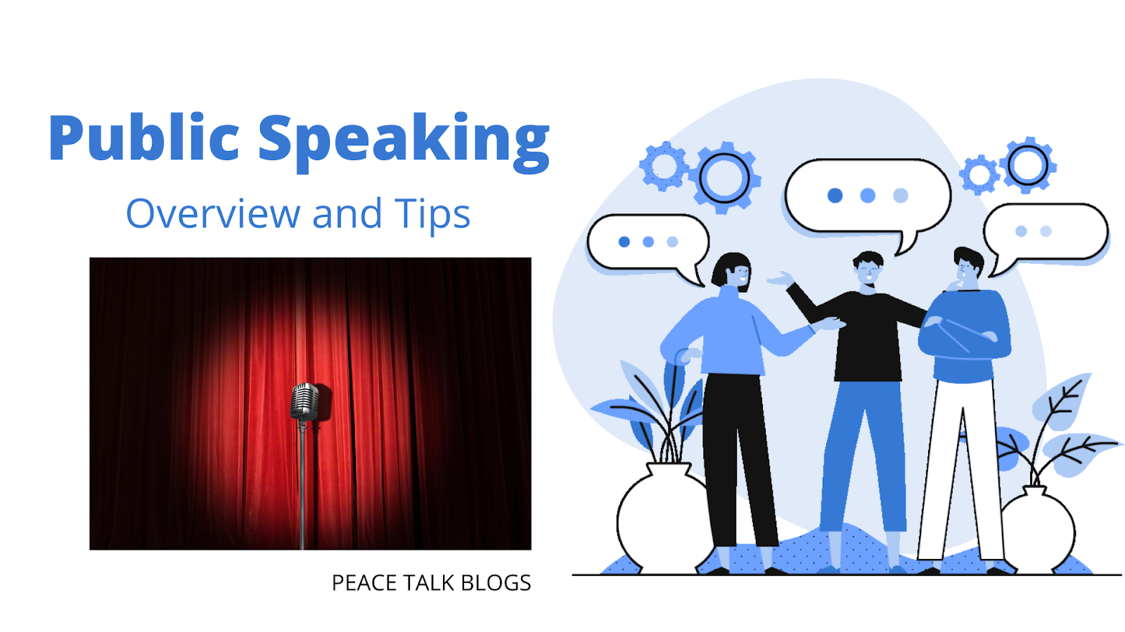 Public Speaking? Why Is It Important? Overview & Suggestions