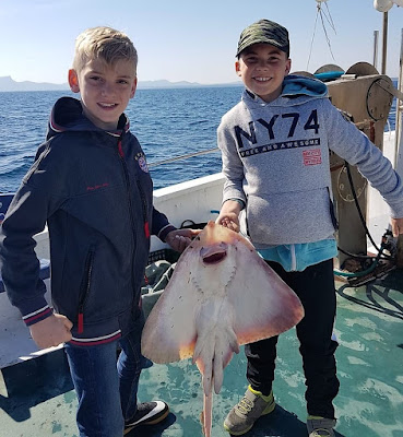 Rayas en las excursiones de pesca turismo y turismo marinero de Mallorca y Menorca