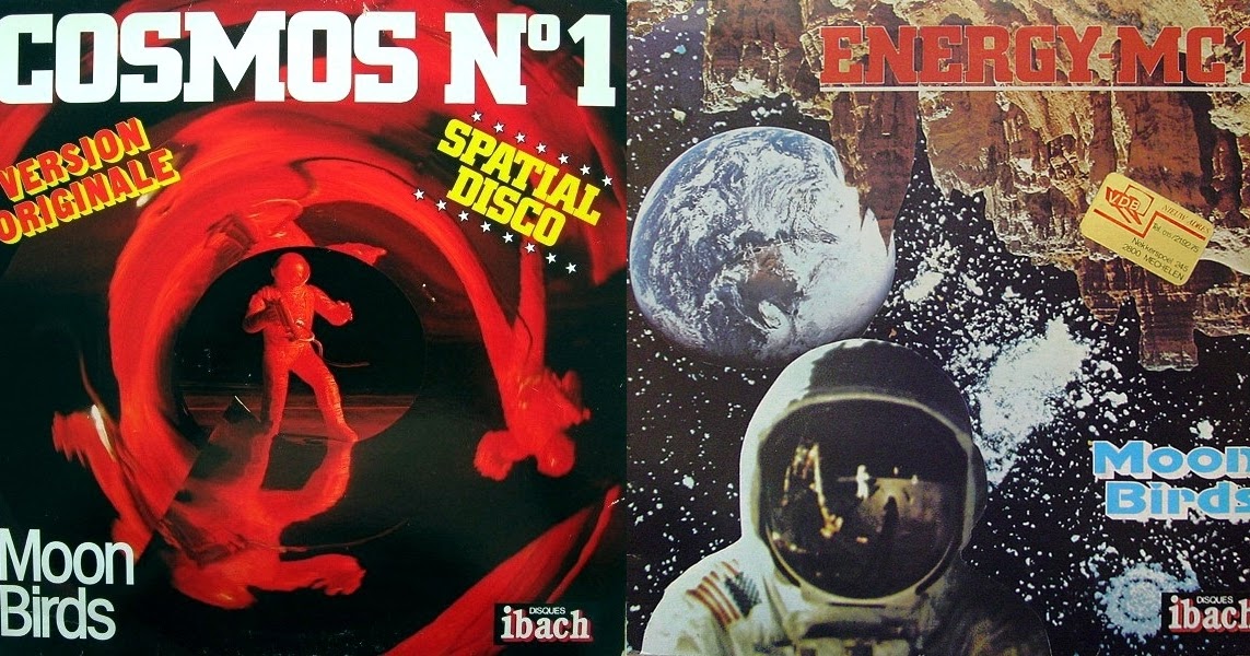 Moon birds nft collection. чайка ночью. Moon birds. луна и птицы. журавлиный клин.