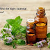 How to Find the Right Essential Oil for you?