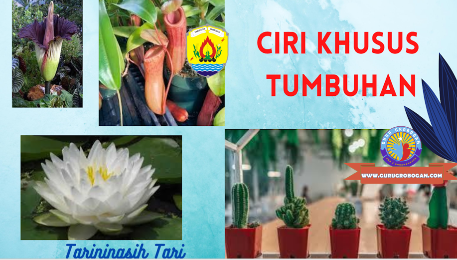 Higrofit Merupakan Tumbuhan Yang Hidup Di Daerah - Clopton Mott1948