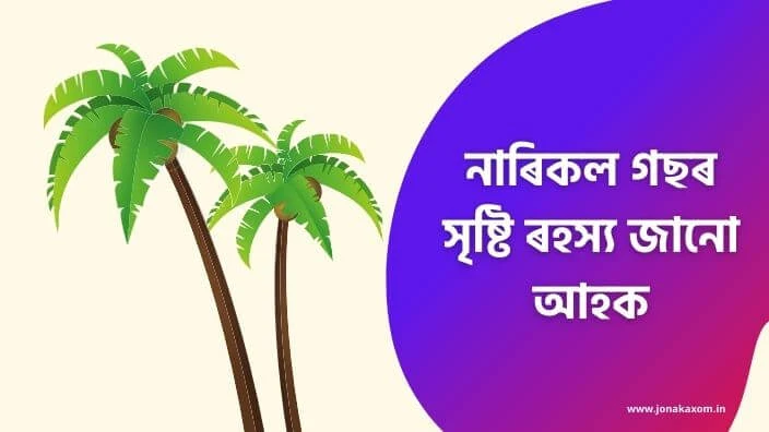 Hindu Mythological Story - The Origin of Coconut Tree in Assamese