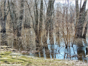 Patriots´ Day en Concord: Minute Man National Historical Park Patriots´ Day en Concord: Minute Man National Historical Park
