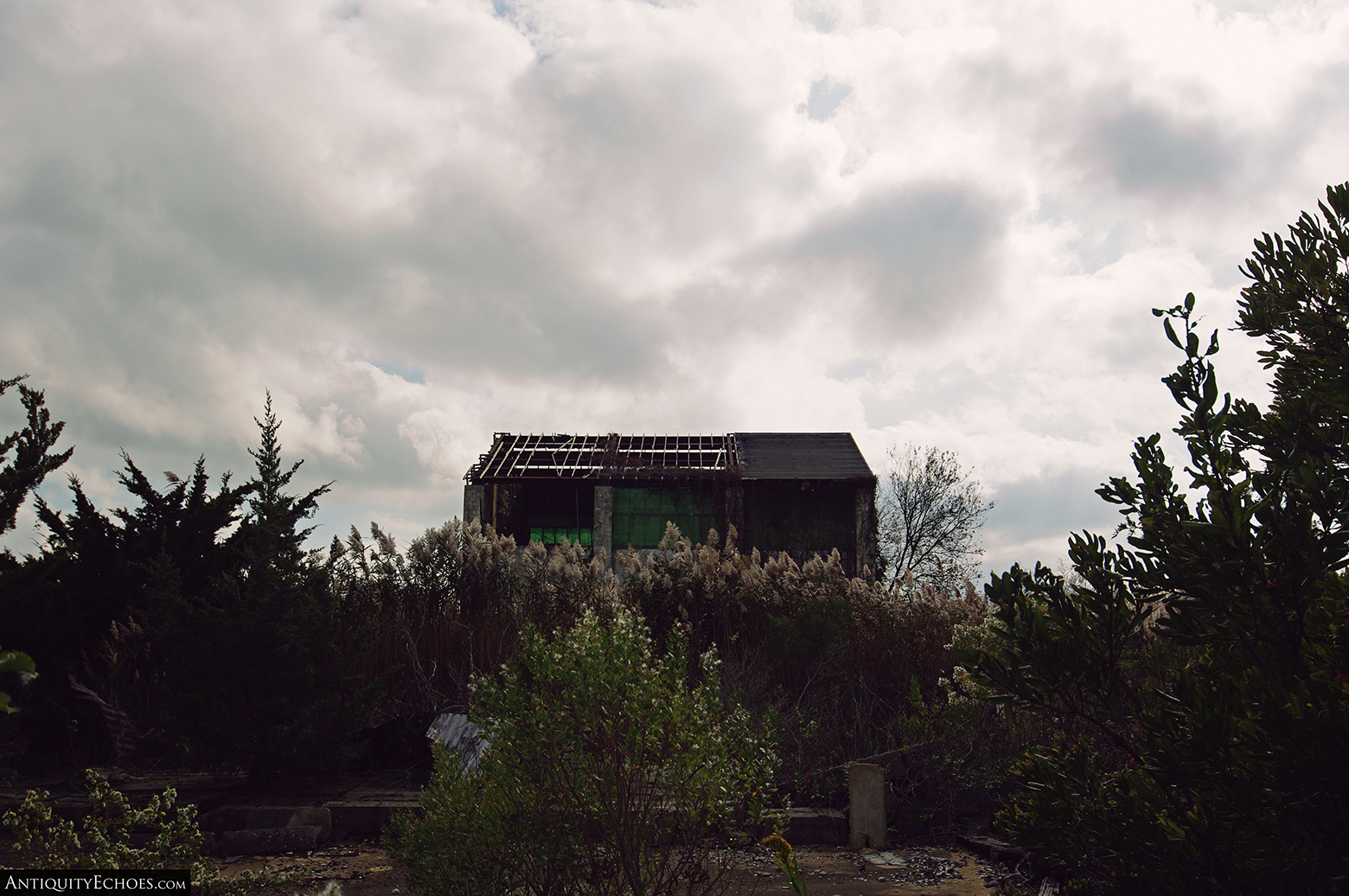 Tuckerton Fish Factory - Lost Beyond the Reeds