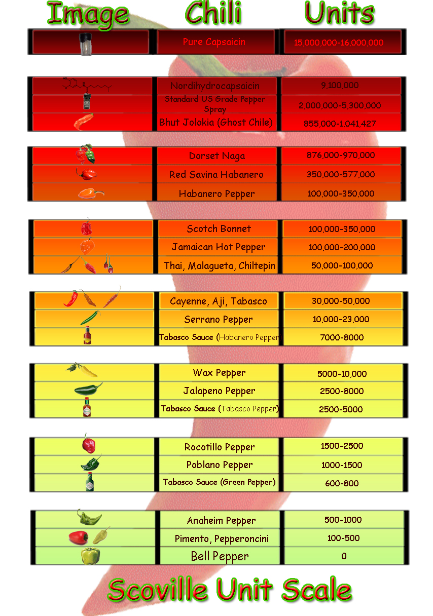 Woman And Friend Vs Food USA The Phaal Curry 1 000 000 Scoville Units woman-and-friend-vs-food-usa-the-phaal-curry-1-000-000-scoville-units