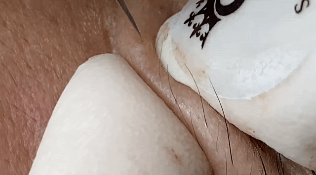 a38d66e76257944c3cd29e4dcf95f713477cede5