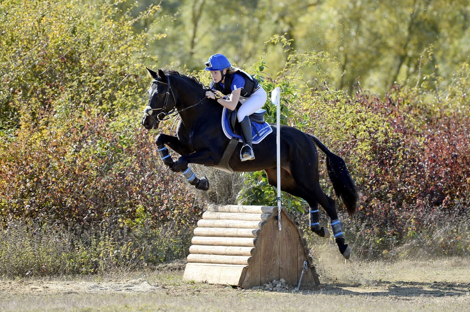 Carnet d'une Cavalière