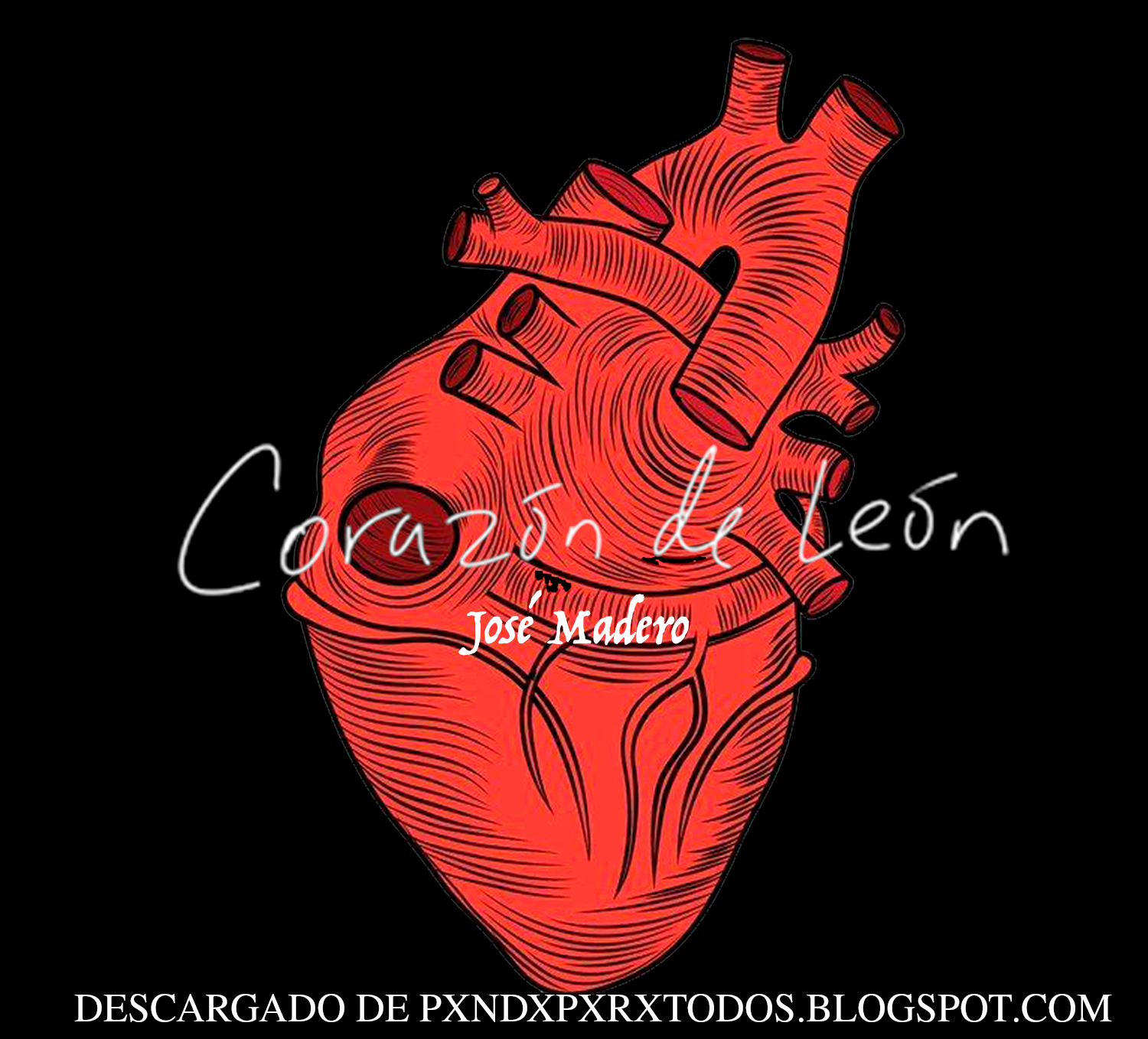 Corazón de León - José Madero