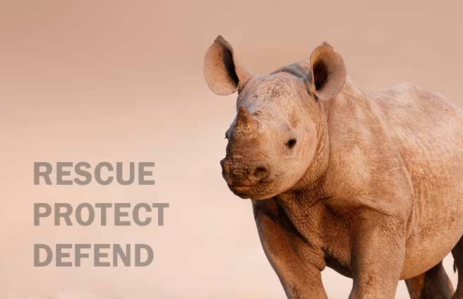 The Right Human: October 2013