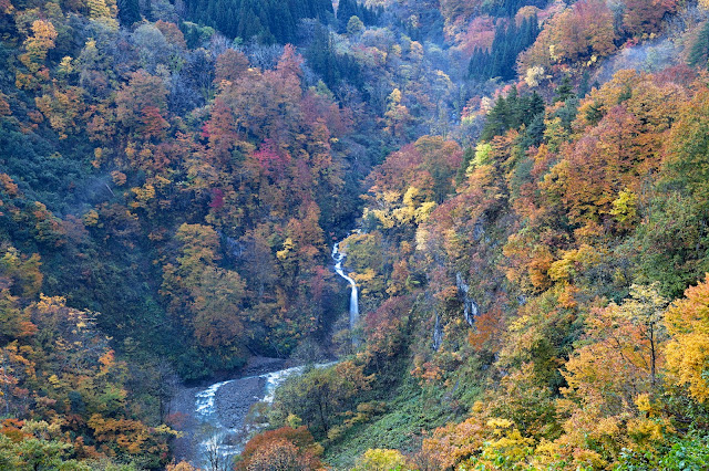 #photo #landscape #sigma #foveon #sdquattroh #japan #yamagata #tsuruoka #写真 #風景写真 #山形帝國 #山形県 #鶴岡市