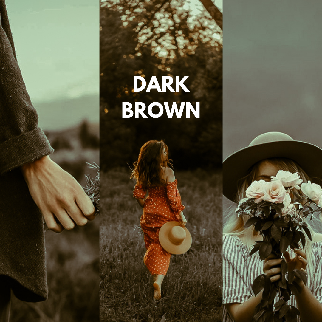 Dark Brown Lightroom Presets