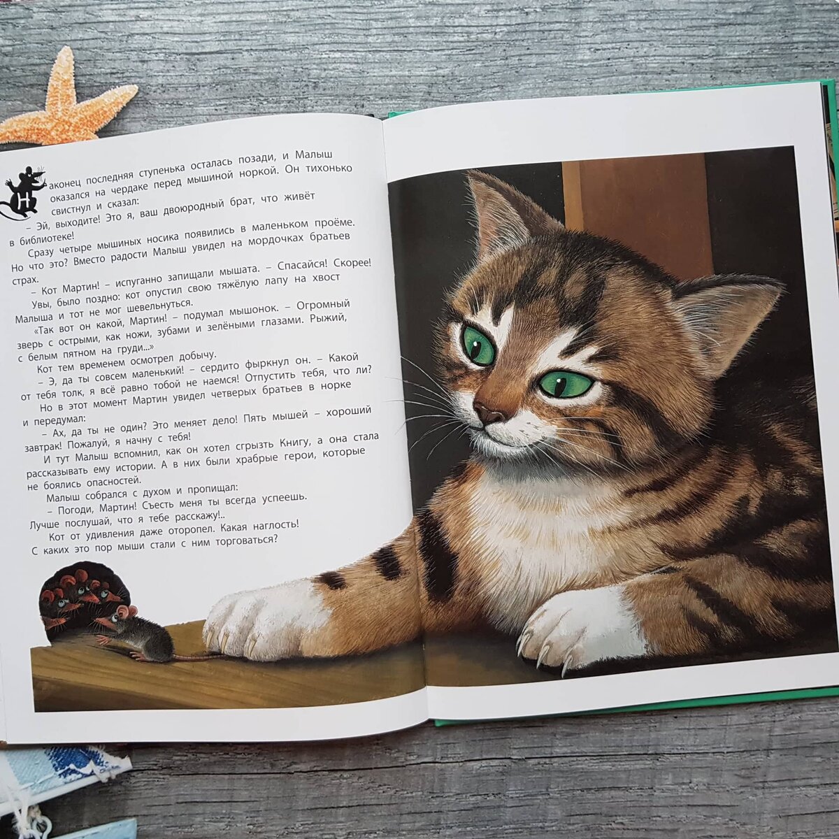 говорящий кот книга. кот в библиотеке. говорящий кот книга. мартин, малыш и говорящая книга. жонас мартин малыш и говорящая книга.