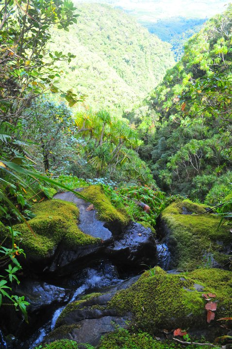 Gunung Masurai | Pesona Indonesia