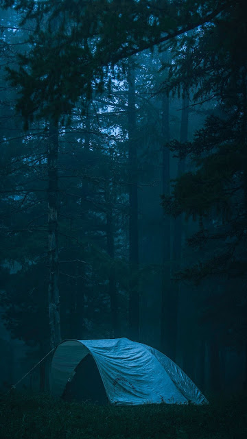 HD Wallpaper Scene, Camping, Forest, Fog, Nature HD Wallpaper Scene, Camping, Forest, Fog, Nature